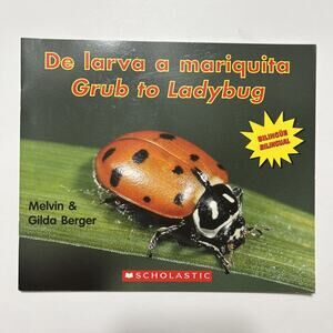 De larva a mariquita Grub to Ladybug Bilingual Paperback Book Educational